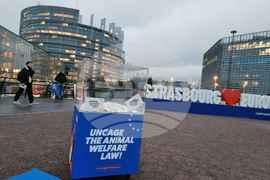 Франция - Страсбург - ЕП - протест