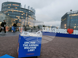 Франция - Страсбург - ЕП - протест