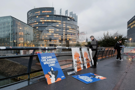 Франция - Страсбург - ЕП - протест