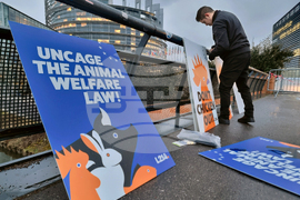 Франция - Страсбург - ЕП - протест