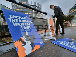 Франция - Страсбург - ЕП - протест