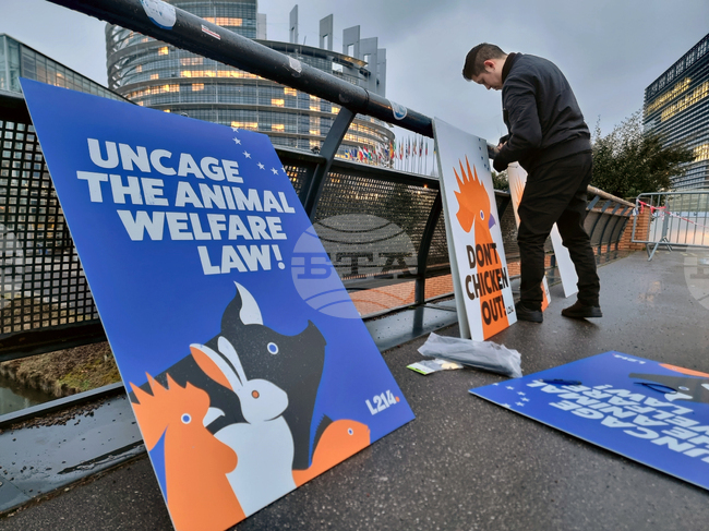  Франция - Страсбург - ЕП - протест