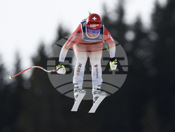 Austria Ski Worlds