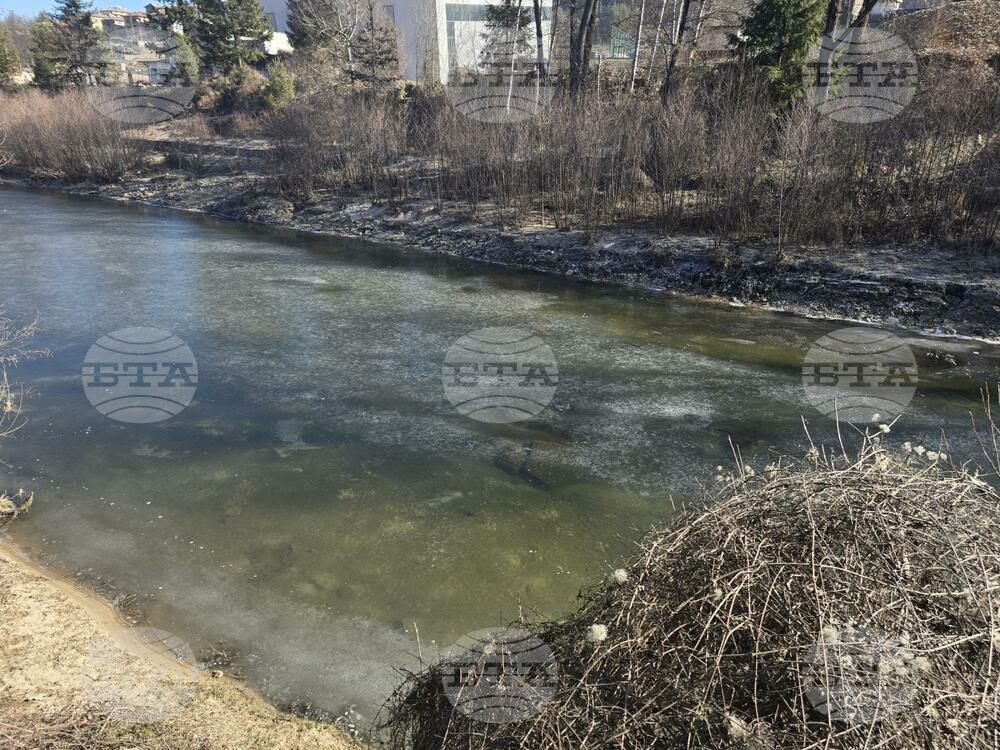 Минусовите температури сковаха водите на Елховска река край Рудозем