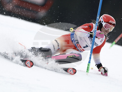 Austria Ski Worlds