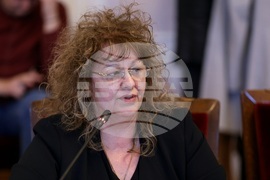 Народно събрание - МПС - нотариална заверка - кръгла маса