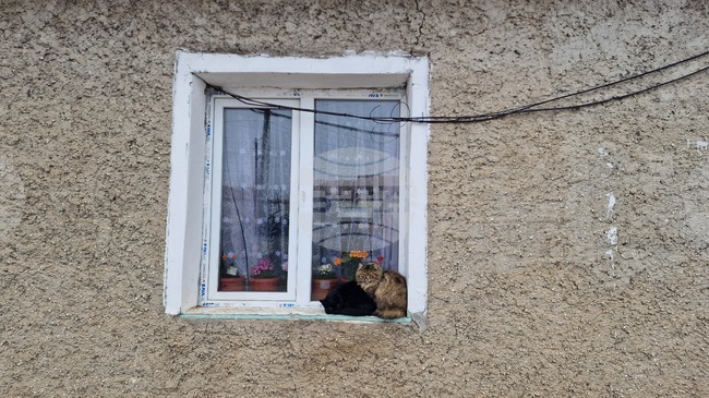 The Weather on February 13