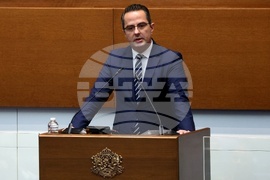 Парламент - заседание - Цончо Ганев