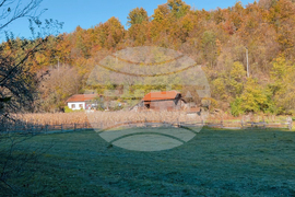 Сърбия - село Рибарци - репортаж