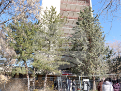 Хасково - ученическо общежитие - ремонт