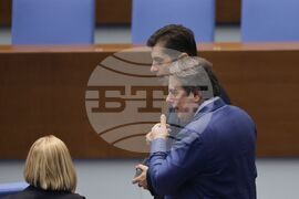 Парламент - заседание