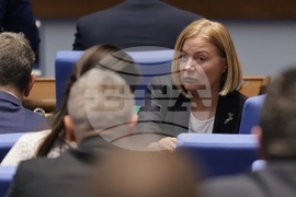 Парламент - заседание