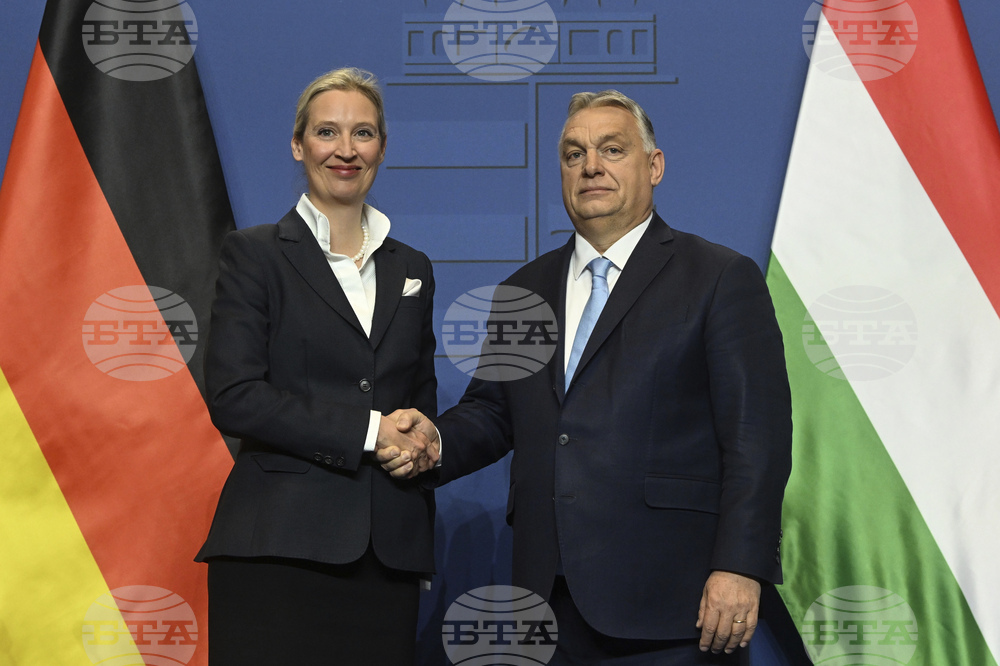 Орбан: Всичко, за което се бори "Алтернатива за Германия", би било добро за Унгария