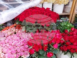 Турция - Анкара - 14 февруари