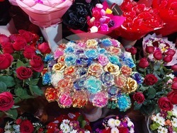 Турция - Анкара - 14 февруари