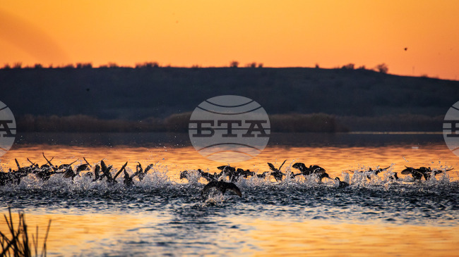 Куиз за важността на влажните зони ще се проведе в Бургас 