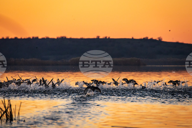Куиз за важността на влажните зони ще се проведе в Бургас 