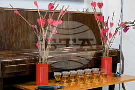 Видин - „Наздравици за любовта” - литературен салон