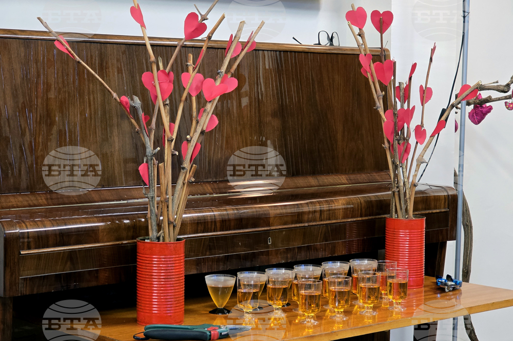 Видин - „Наздравици за любовта” - литературен салон