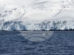 Антарктида - остров Смит - геоложко проучване