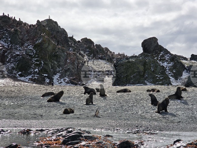 Климатът на Антарктида се променя рязко, сочи проучване
