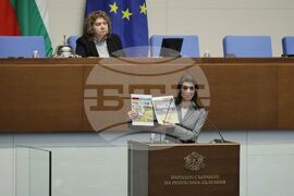 Парламент - заседание