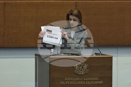 Парламент - заседание