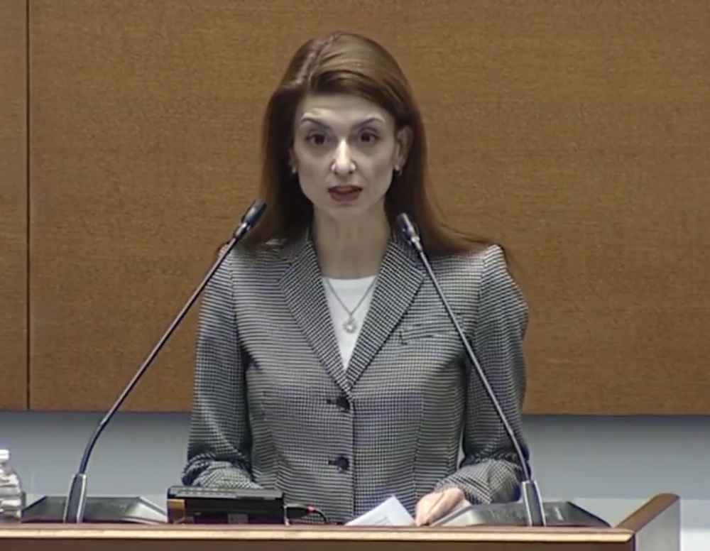 Нина Димитрова: БСП - ОЛ подкрепя хилядите българи в техния бойкот. Винаги ще защитаваме социалната справедливост 