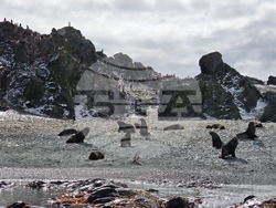 Antarctica - Smith Island - geological research