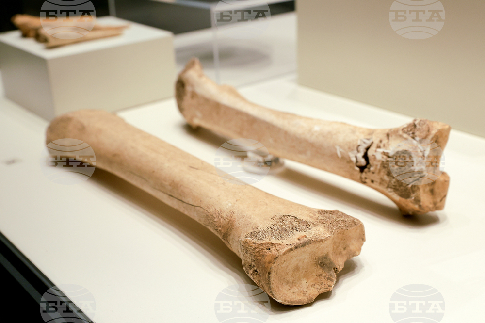 „Българска археология 2024” - изложба - представяне