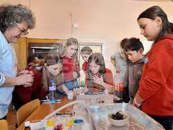 Учени от Института по полимери споделиха знания по химия с ученици от Четвърто основно училище Проф. Джон Атанасов". Снимка: БАН 