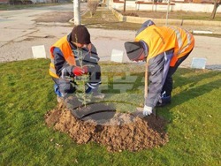 с. Ясно поле - рехабилитация  - улици