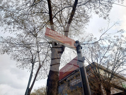 Турция - Анкара - млади хора - улица „Ашкабат“