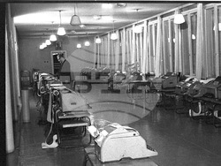 Българска телеграфна агенция - нюзрум - развитие