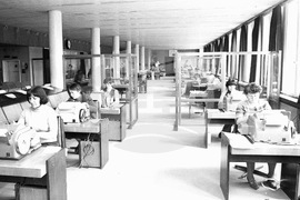 Българска телеграфна агенция - нюзрум - развитие