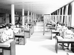 Българска телеграфна агенция - нюзрум - развитие