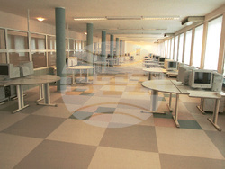 Българска телеграфна агенция - нюзрум - развитие