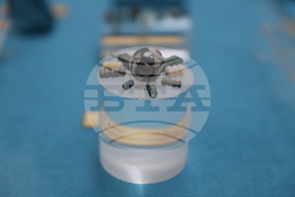 Благоевград - „Градът на победата - Никополис ад Нестум” - изложба