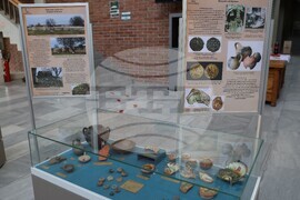 Благоевград - „Градът на победата - Никополис ад Нестум” - изложба