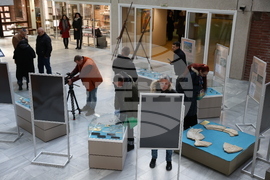 Благоевград - „Градът на победата - Никополис ад Нестум” - изложба