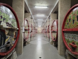 Ново село - изба - лозарство и винопроизводство