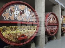 Ново село - изба - лозарство и винопроизводство