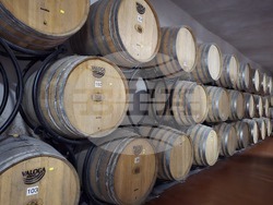 Ново село - изба - лозарство и винопроизводство