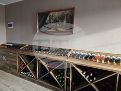 Ново село - изба - лозарство и винопроизводство