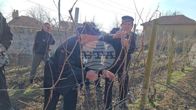 В ловешкото село Горан зарязаха ритуално лозята на празника Трифон Зарезан