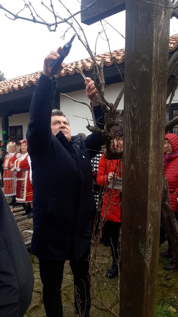 Община Каварна: Отбелязваме Деня на лозари и винари - Трифон Зарезан