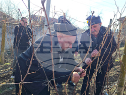 Село Горан - Трифон Зарезан - лозя