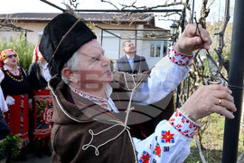 Село Тополи - Трифон Зарезан