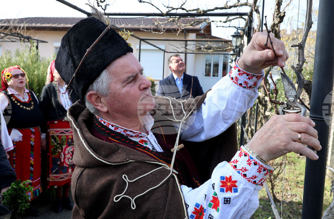 Село Тополи - Трифон Зарезан 