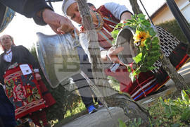 Село Тополи - Трифон Зарезан